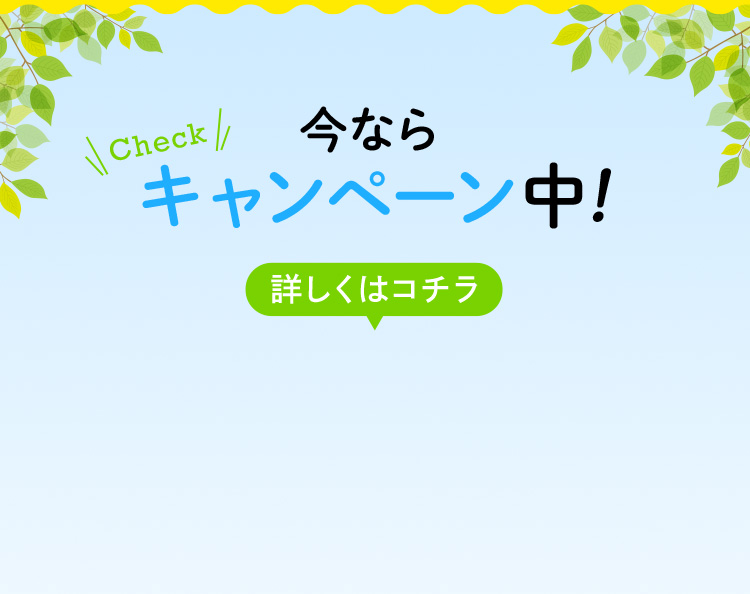 Check 今ならキャンペーン中！詳しくはコチラ